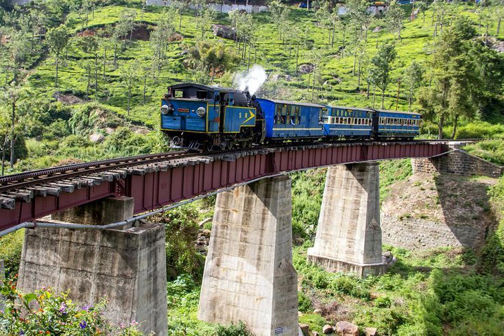 Holiday Package to Ooty–Kodaikanal Nilgiris Tour